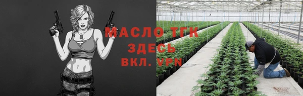 индика Белокуриха
