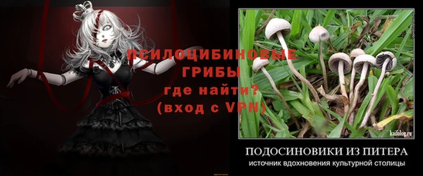 мескалин Баксан