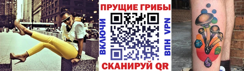 Псилоцибиновые грибы мухоморы  цены наркотик  Котельниково 